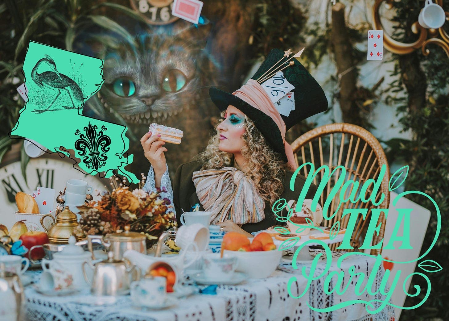 Louisiana Legislators Wear Tin Foil Hats